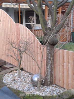 060-Fotos Marketing - 20240304